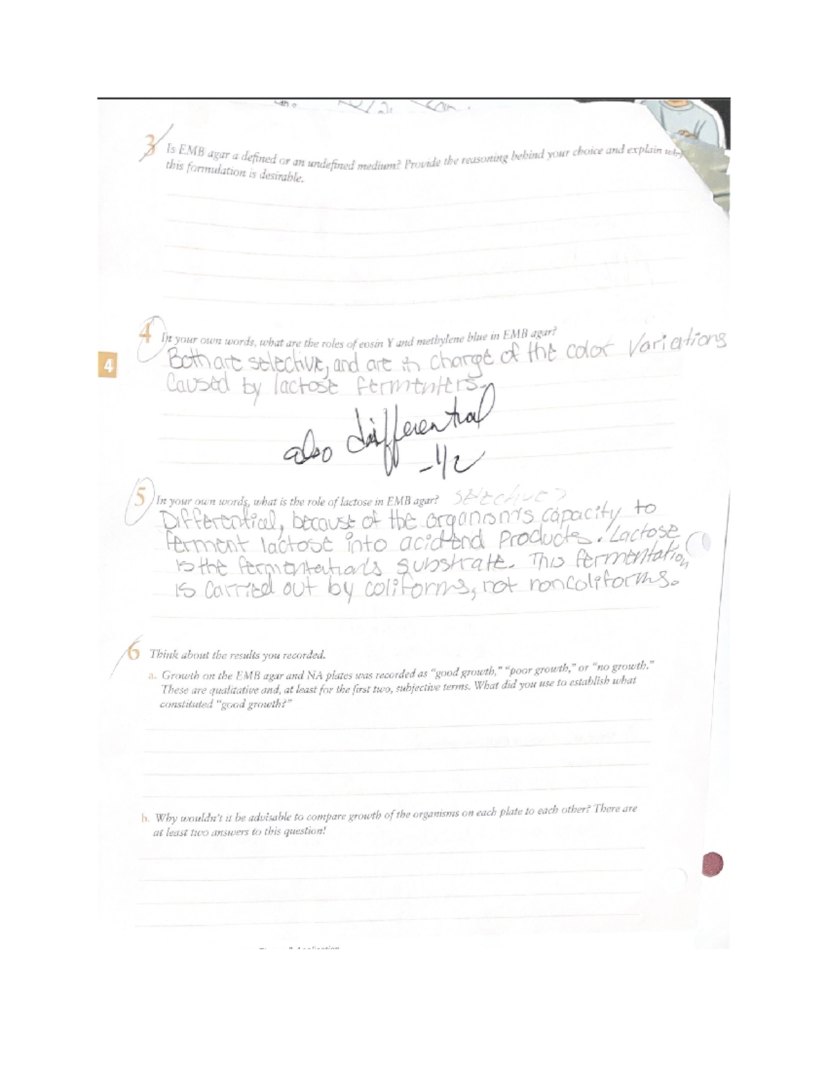 LAB 46 EMB MCB2010L Studocu