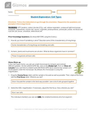 Biodiversity And Classification - Namе: Mary Robert Introduction To 