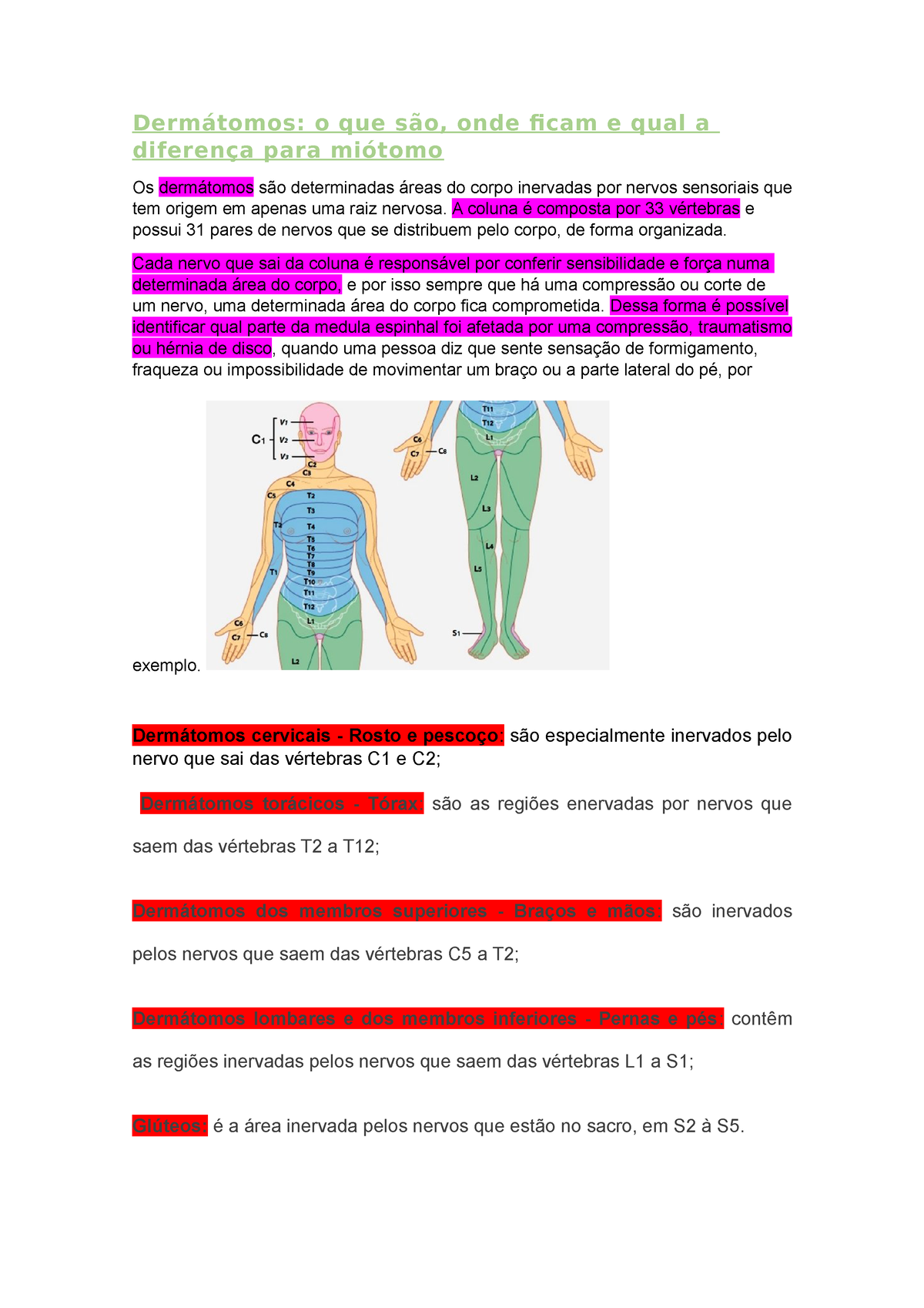 dermátomos dos membros inferiores