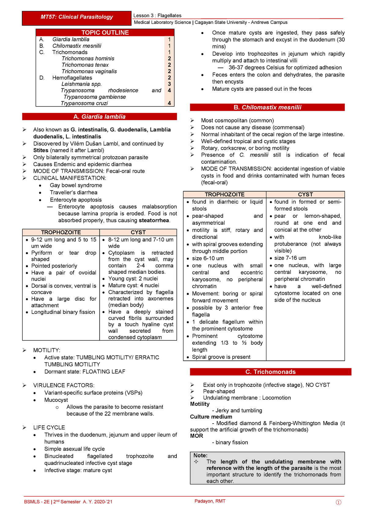 Parasitology: Flagellates - Medical Laboratory Science | Cagayan State ...