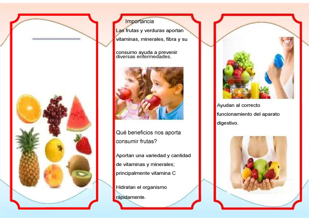 Pdf Triptico Frutas Gychjguydujhvfhxcgmhf Las Frutas La Fruta Es El Fruto Comes Ble Suele