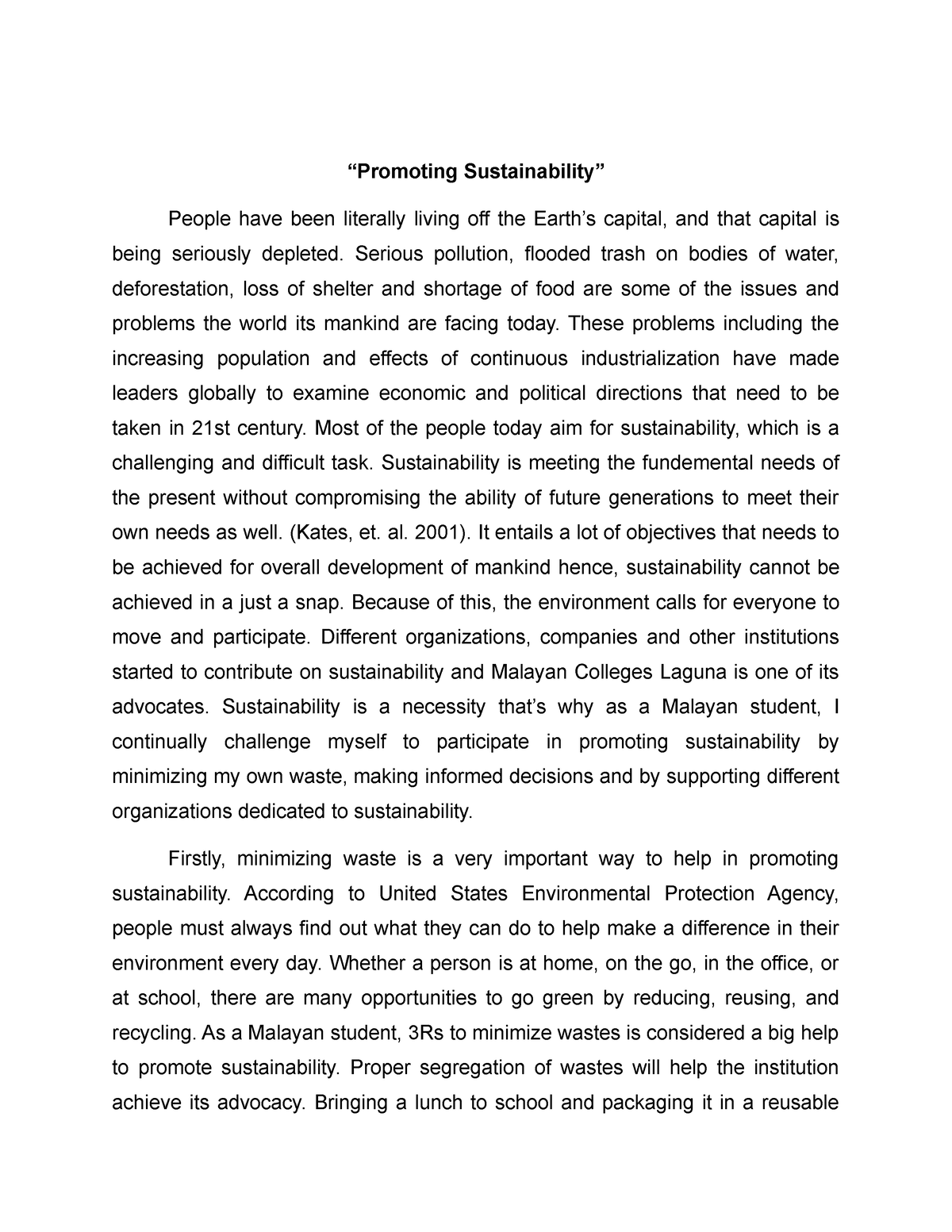 essay introduction about sustainability