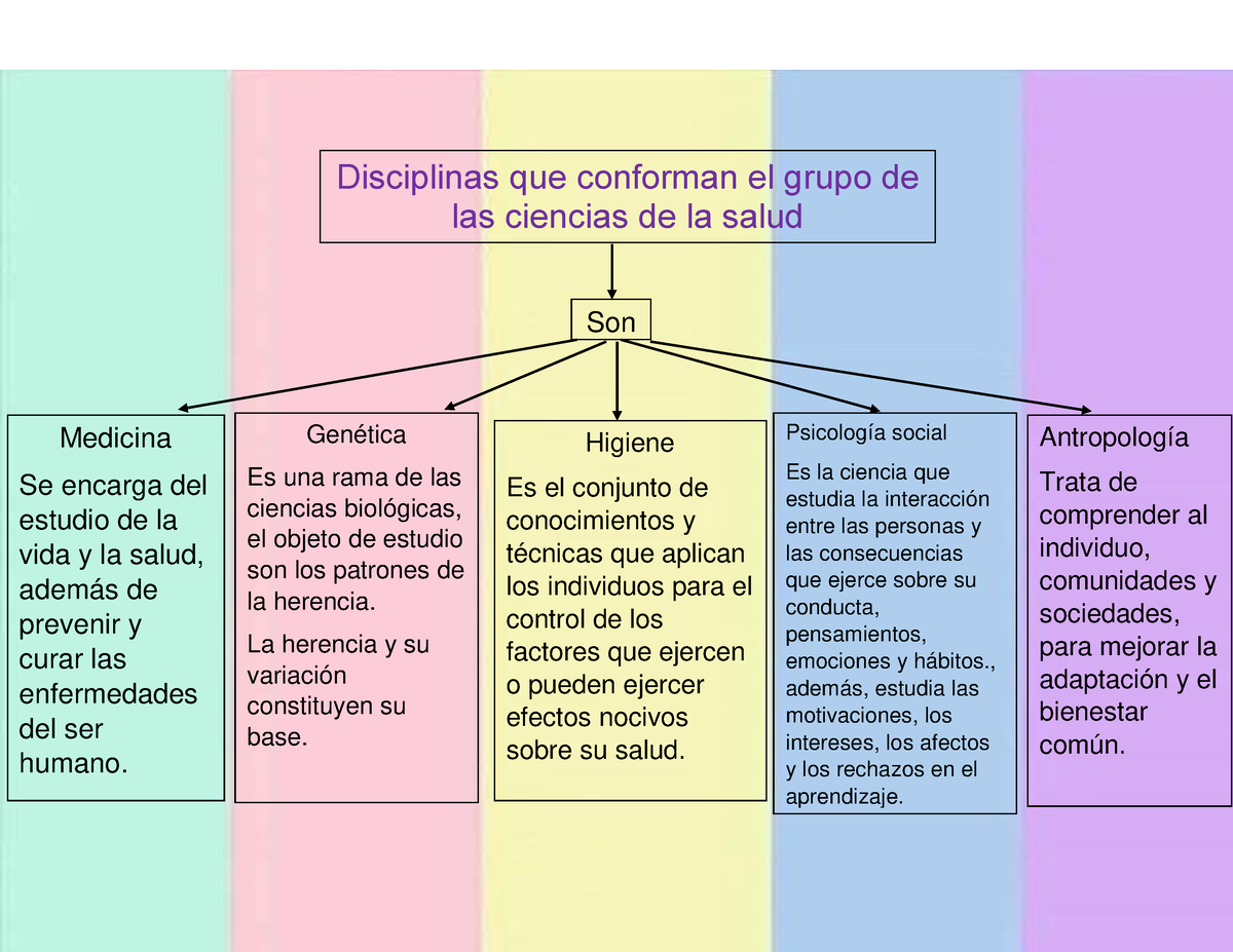 Mapa Conceptual Disiplinas Que Conforman En Grupo De Las Ciencias De La Salud Disciplinas Que 4050