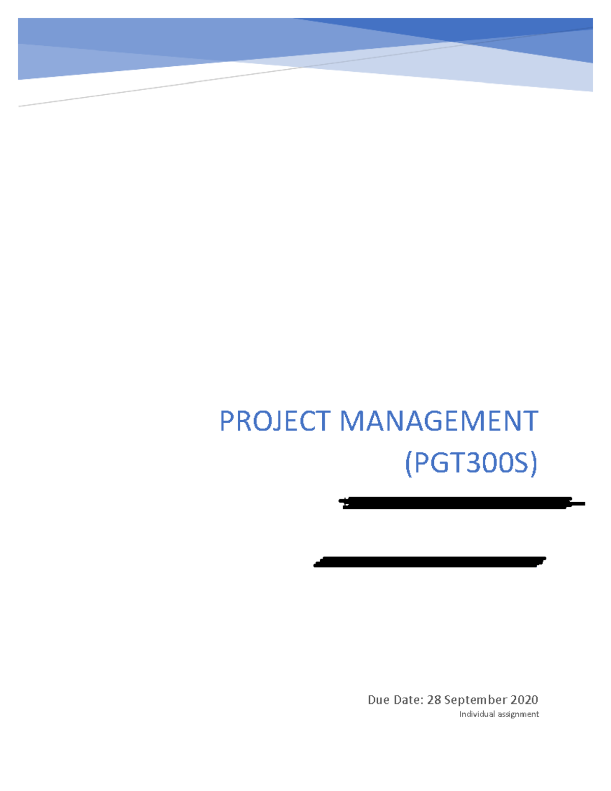 project management individual assignment