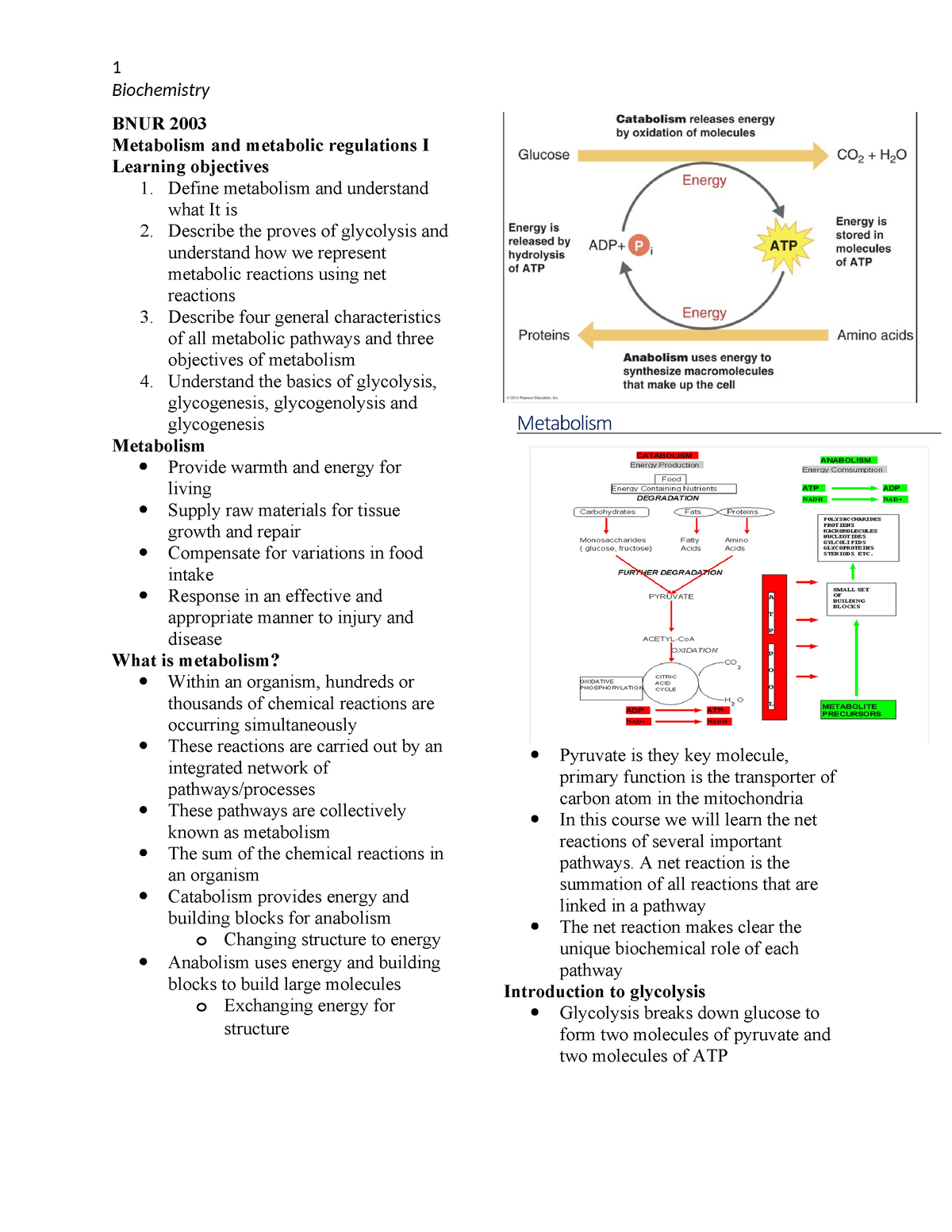 BNUR 2003- module 3 - 1 Biochemistry BNUR 2003 Metabolism and metabolic  regulations I Learning - Studocu