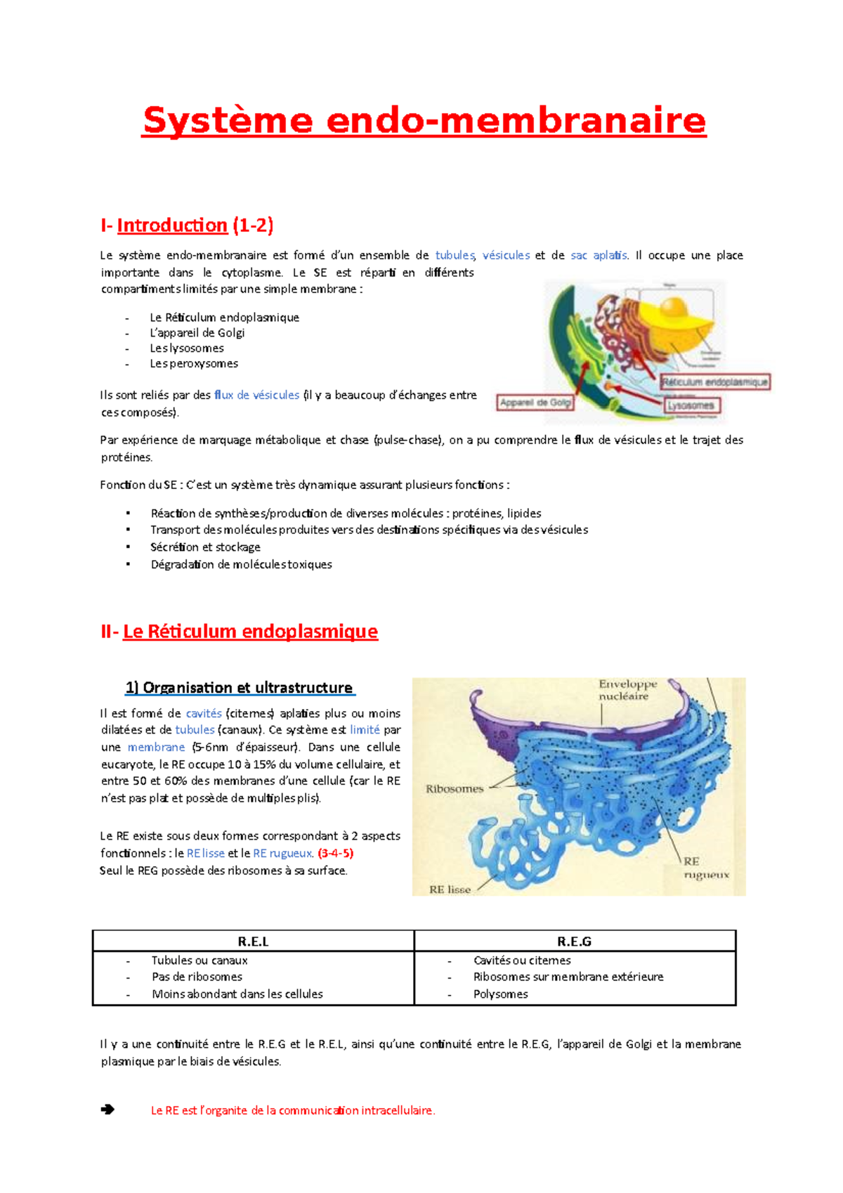 Système Endomembranaire - Introduction Le Est Ensemble De Tubules, Et ...