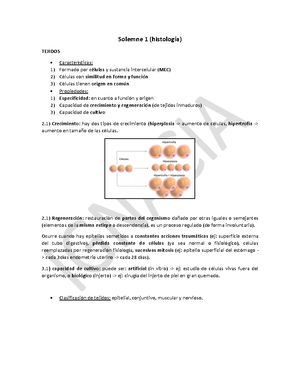 13. Sistema Respiratorio PDF - Apuntes De Histología General ...