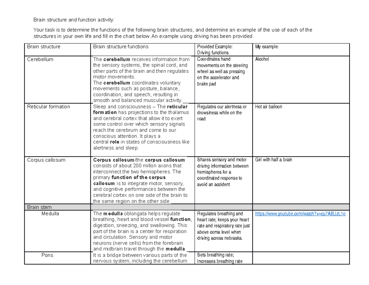 Brain structure and function chart activity KEY 2 - Brain structure and ...