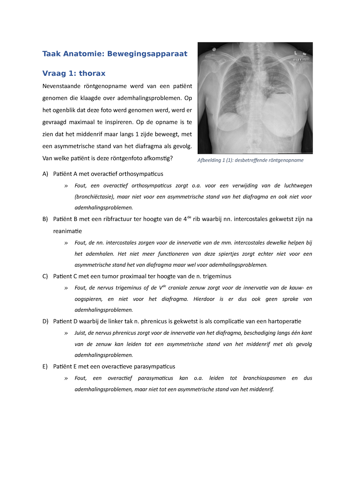 Zelfstudie-opdracht Anatomie - Taak Anatomie: Bewegingsapparaat Vraag 1 ...