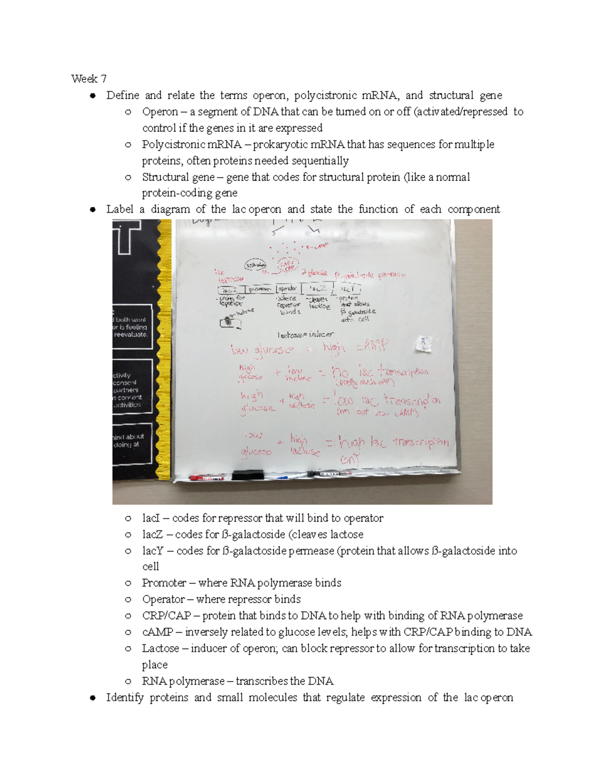 Life Science 7A Professor Pham Final Exam Objectives Sheet Week 7