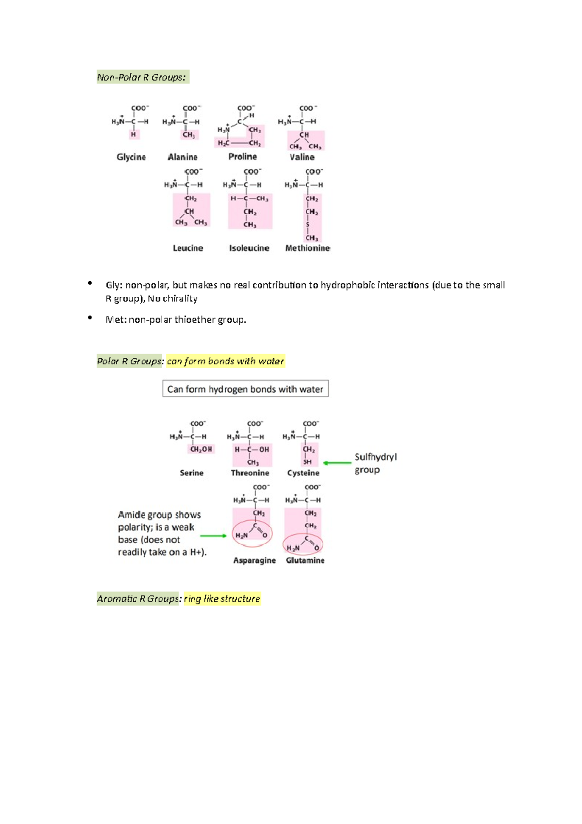 Biochemistry notes - Non-Polar R Groups: Gly: non-polar, but makes no ...