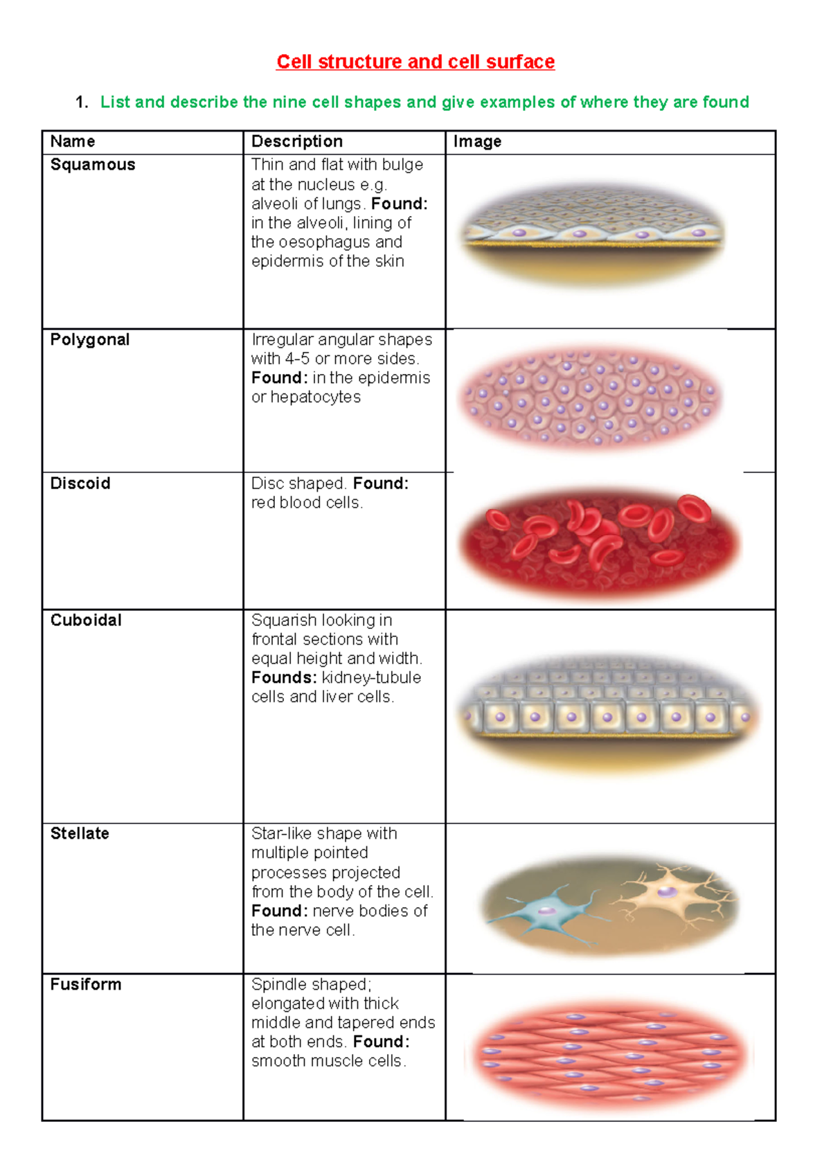 Backup of Cell structure and cell surface Cell structure and cell