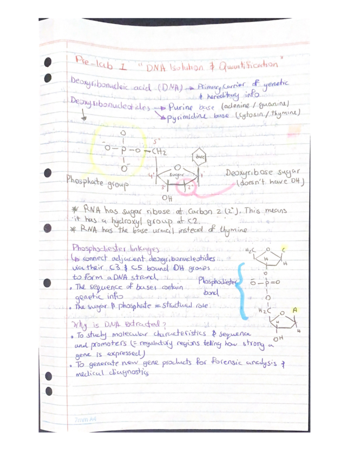 Prelab 1 (DNA Isolation and Quantification) SCIE1106 Studocu
