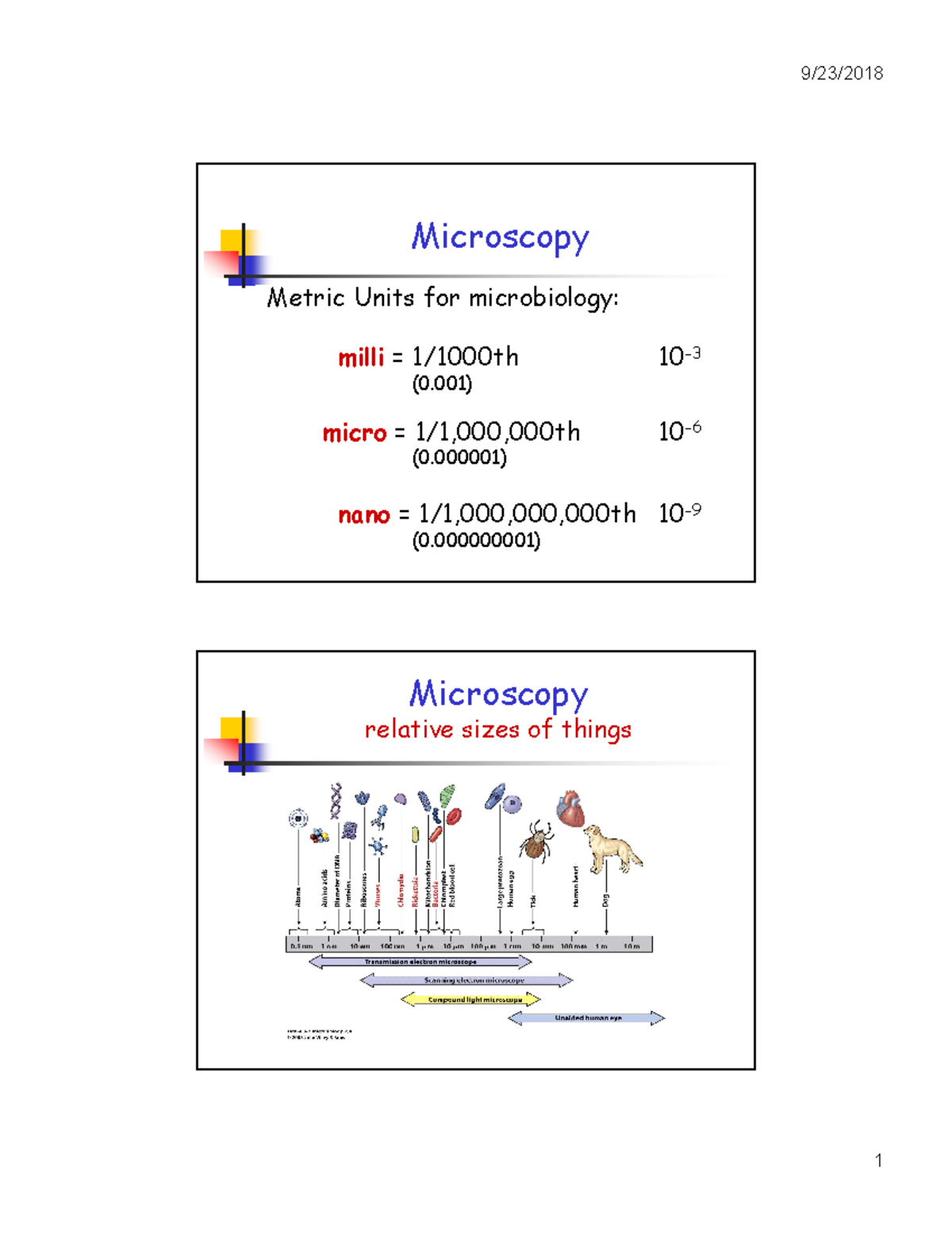 Microscopy - Studocu