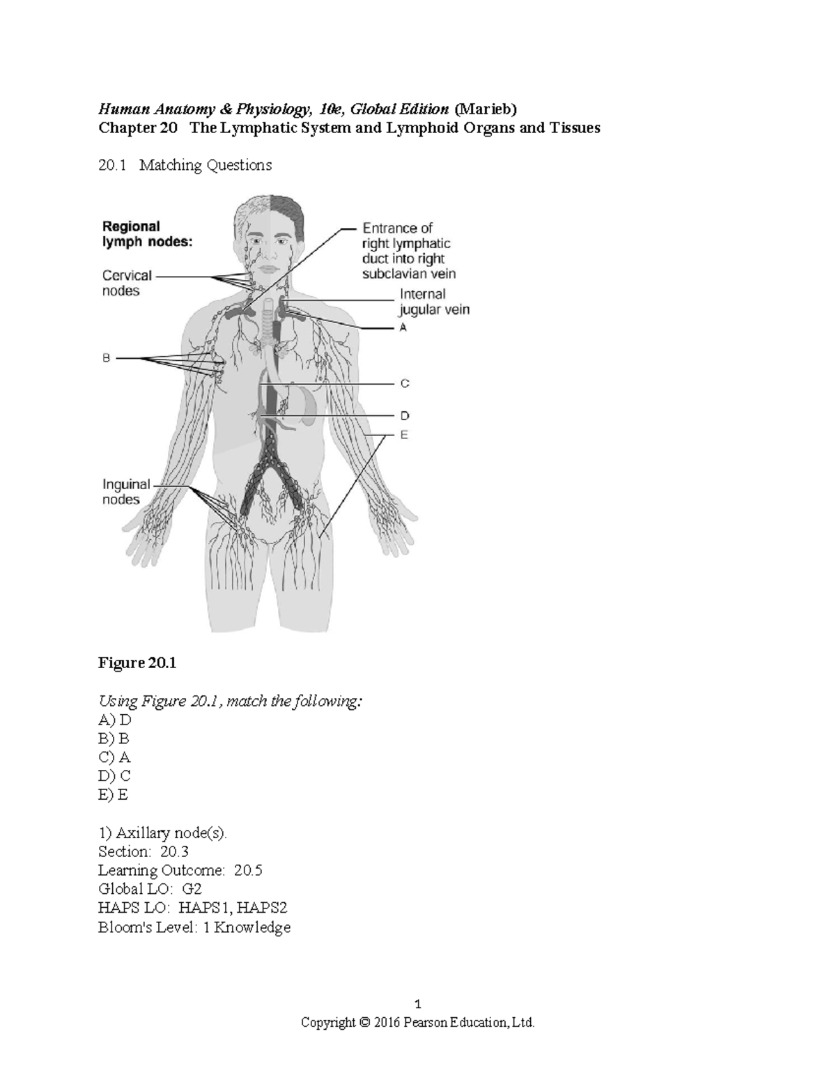 Ch 20 Test Bank - Test Bank - Human Anatomy & Physiology, 10e, Global ...