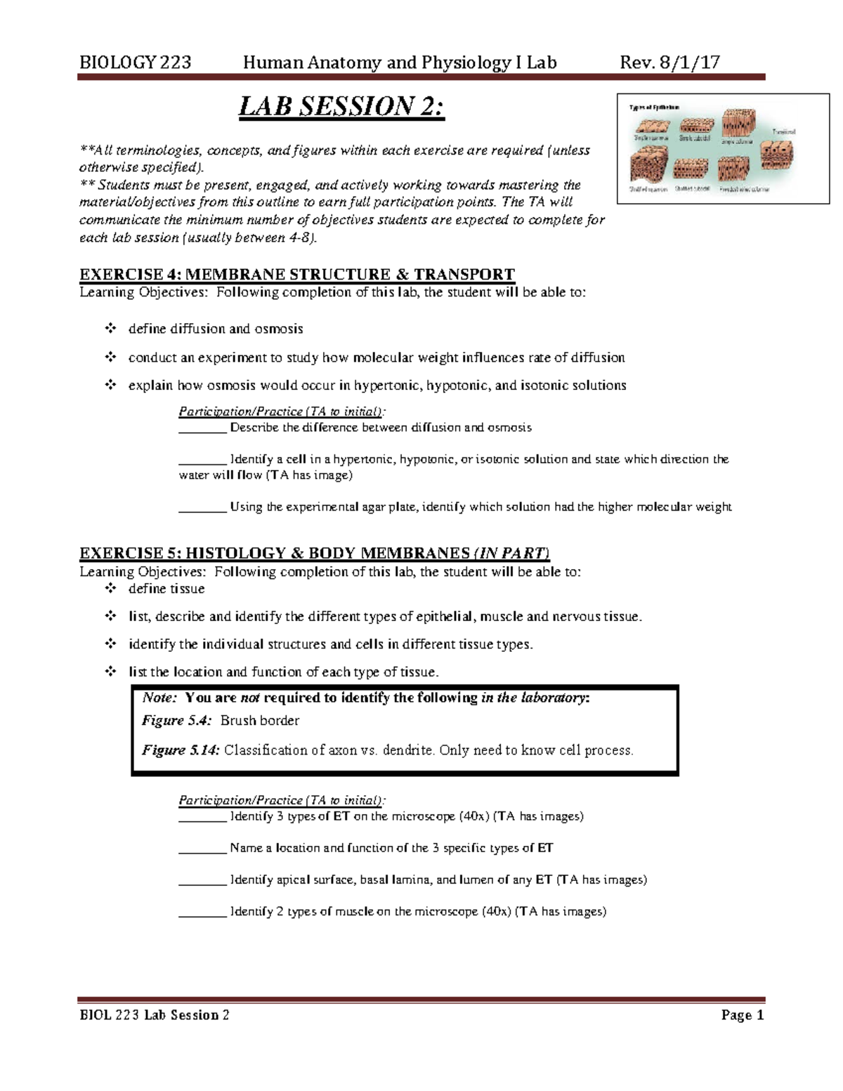 223 Lab Session 2 - BIOLOGY 223 Human Anatomy and Physiology I Lab Rev ...