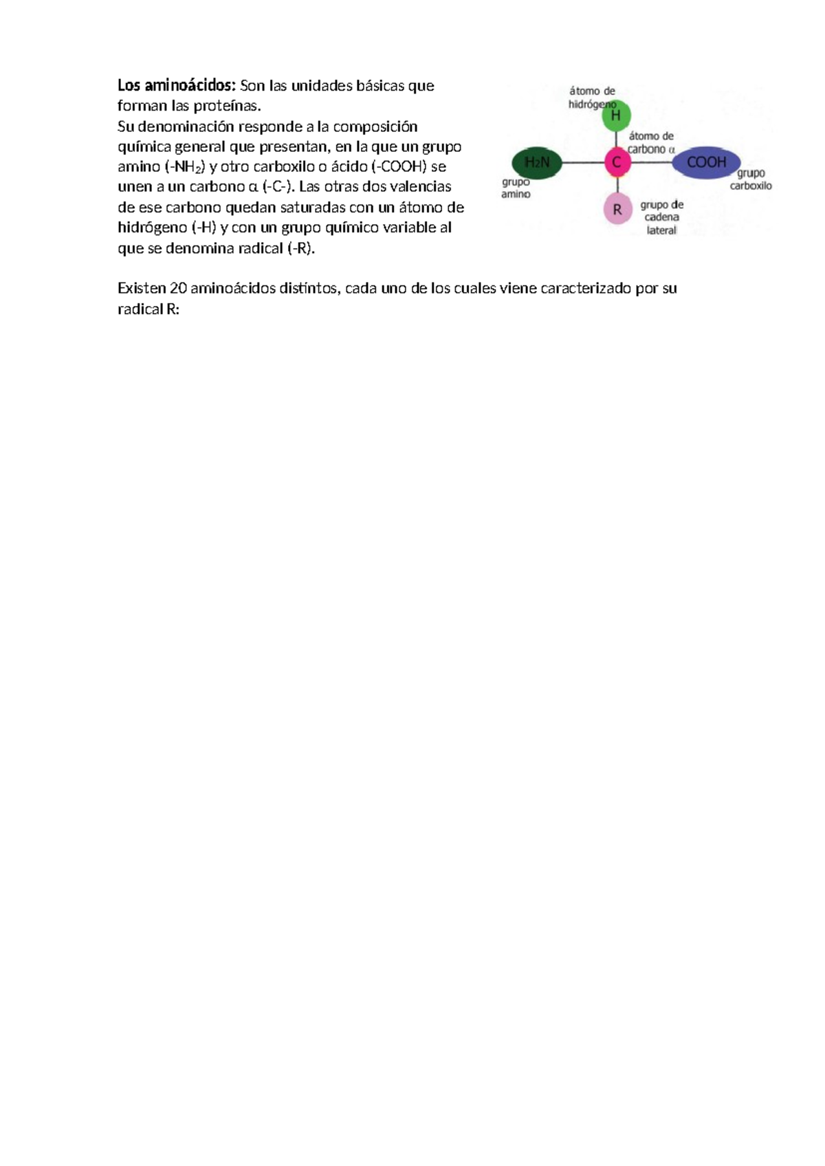 Los aminoácidos - Los aminoácidos: Son las unidades básicas que forman ...