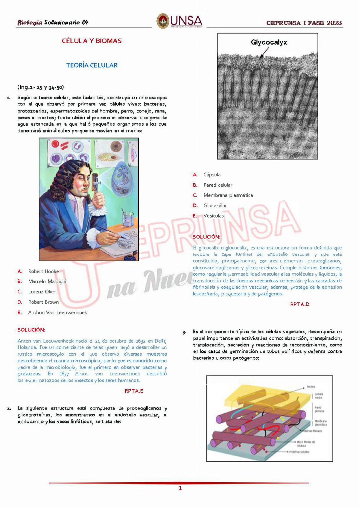 1. Practica N° 04 Solucionario Biología - Ceprunsa I FASE 2023 - CÉLULA ...