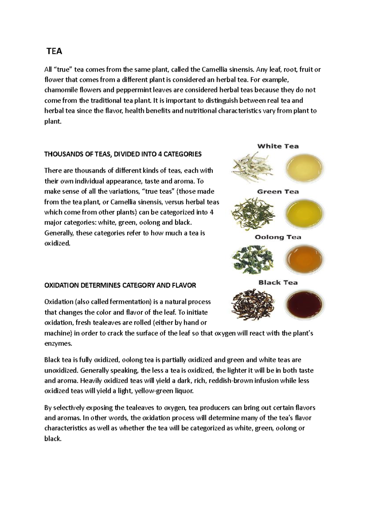Fatima Khan - TEA.docx - Google Docs - TEA All “true” tea comes from ...