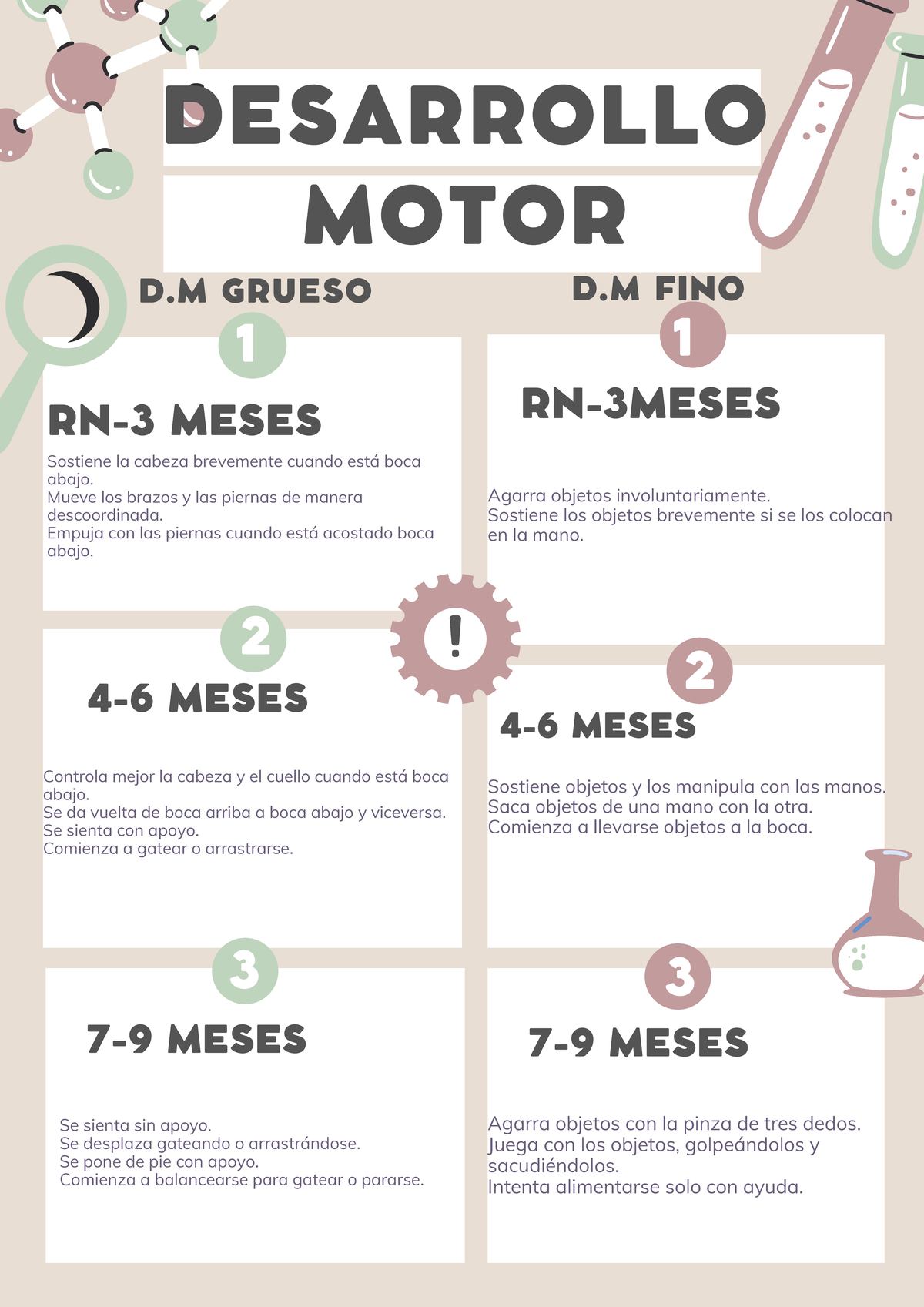 Desarrollo Motor - DESARROLLO MOTOR RN-3 MESES 4-6 MESES Sostiene ...