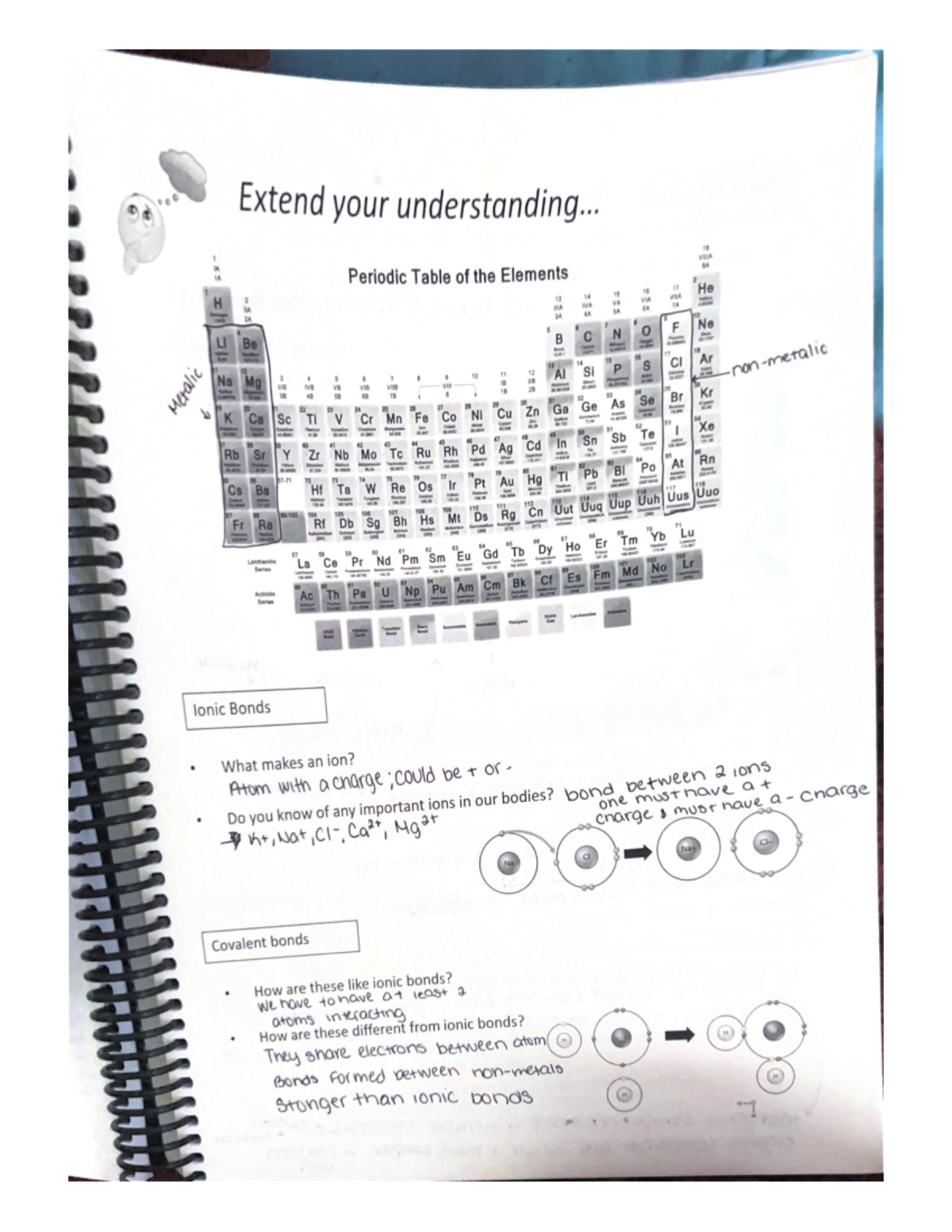 Extend your understanding BIOLOGY 173 Studocu