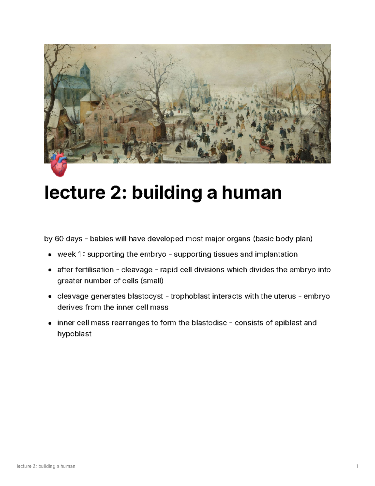 Anatomy building human notes - 🫀 lecture 2: building a human by 60 days ...