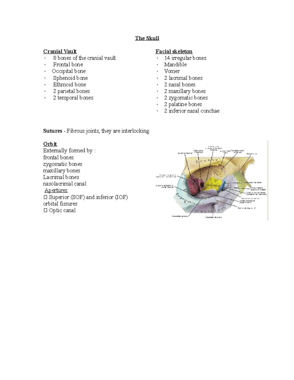 Skull revision - anatomy - The Skull Cranial Vault 8 bones of the ...