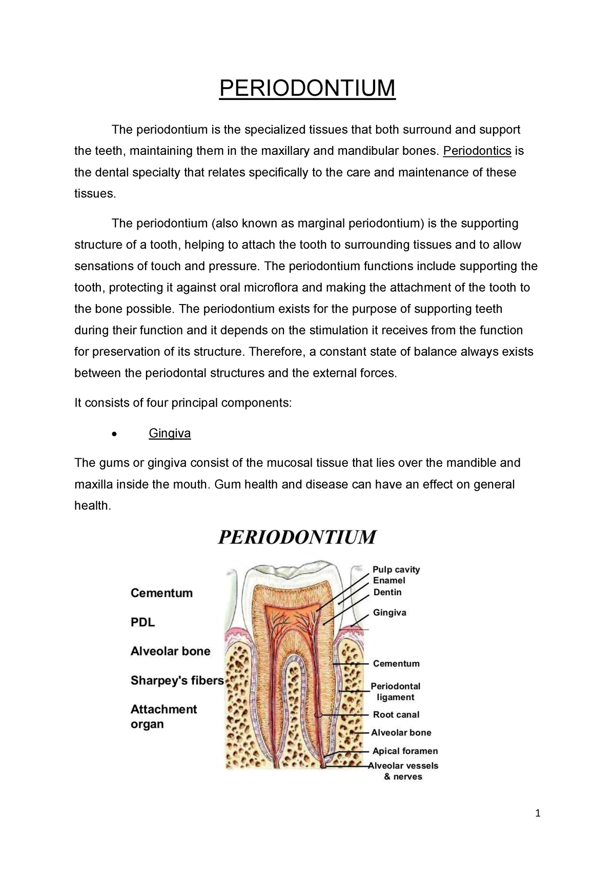 Normal Periodontium - This Is A Brief Summary Notes Prepared For Easy ...