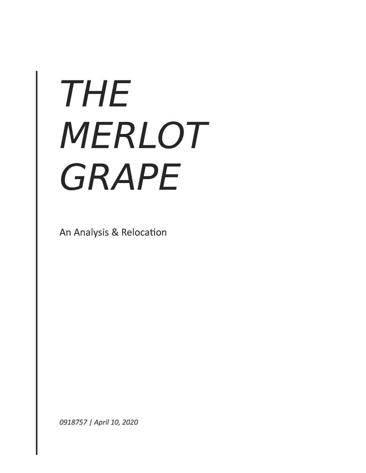 Merlot: the most widespread red grape variety of Bordeaux