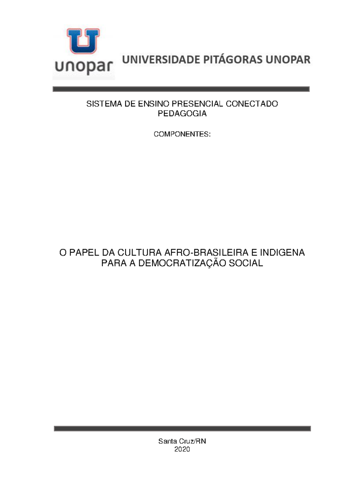 Portfolio Pedagogia Santa Cruz RN 2020 COMPONENTES SISTEMA DE ENSINO 