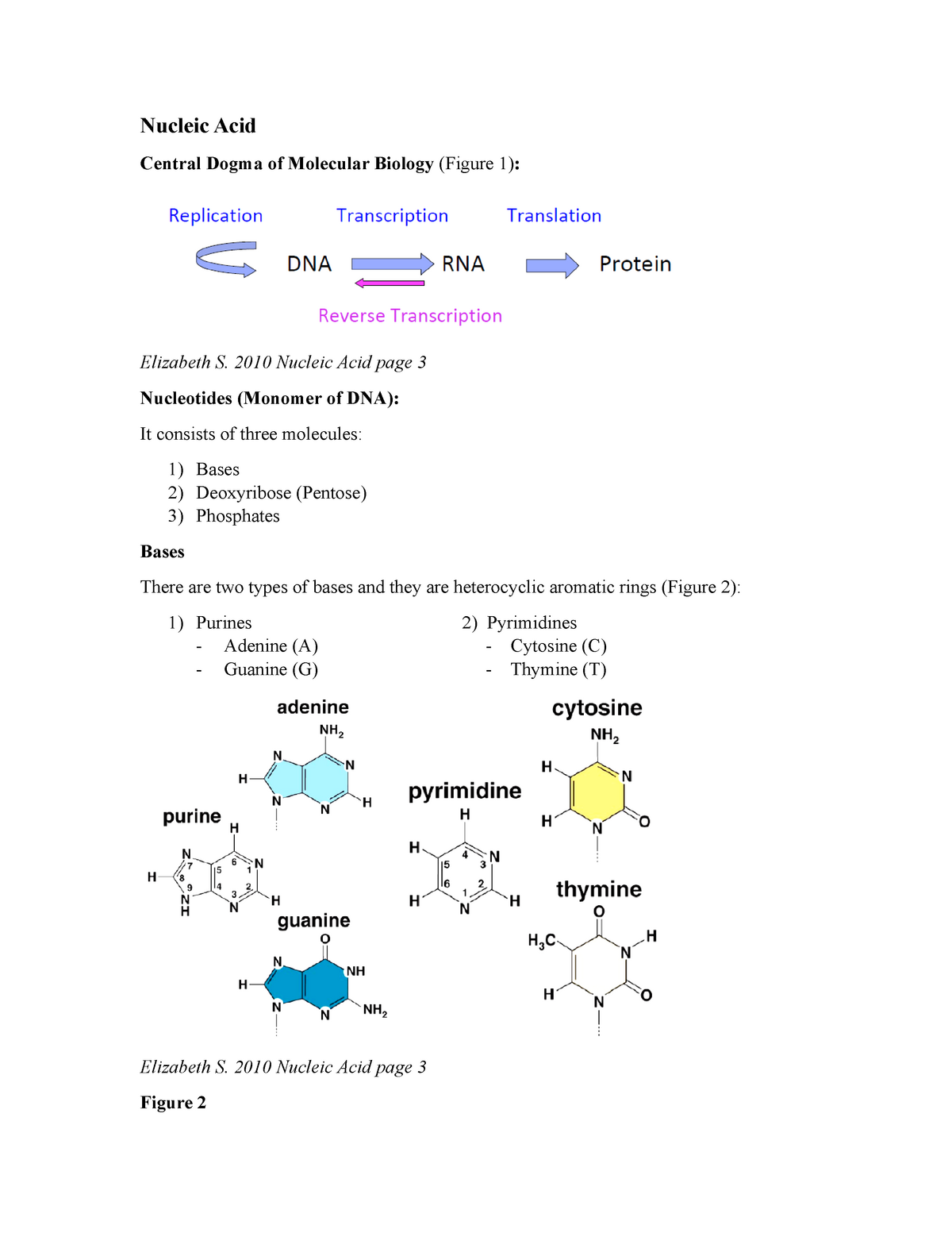 Nucleic Acid - Lecture notes 1-2 - Nucleic Acid Central Dogma of ...