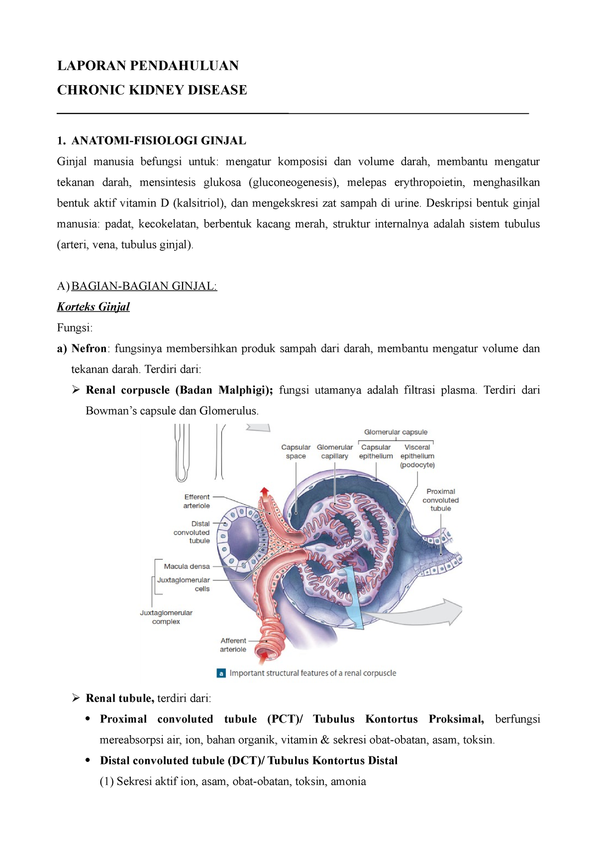 healthcare-free-full-text-factors-associated-with-chronic-kidney