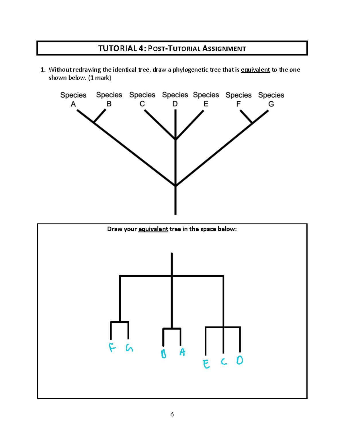 BIO1M03 TUT 4 - Phylogenetic Trees - TUTORIAL 4: POST-TUTORIAL ...