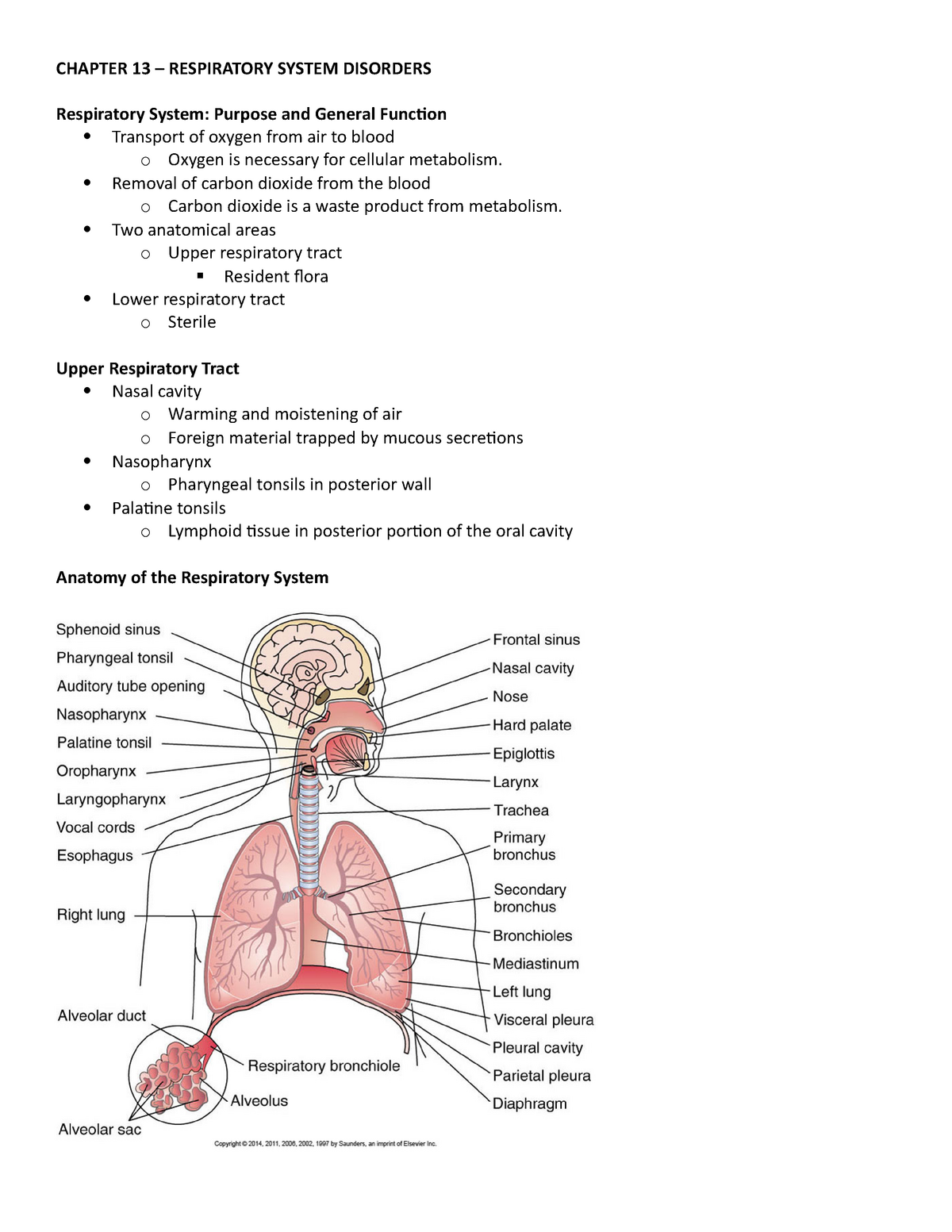 Respiratory System Disorders - NR-22 - Pathophysiology With Respiratory System Worksheet Answer Key