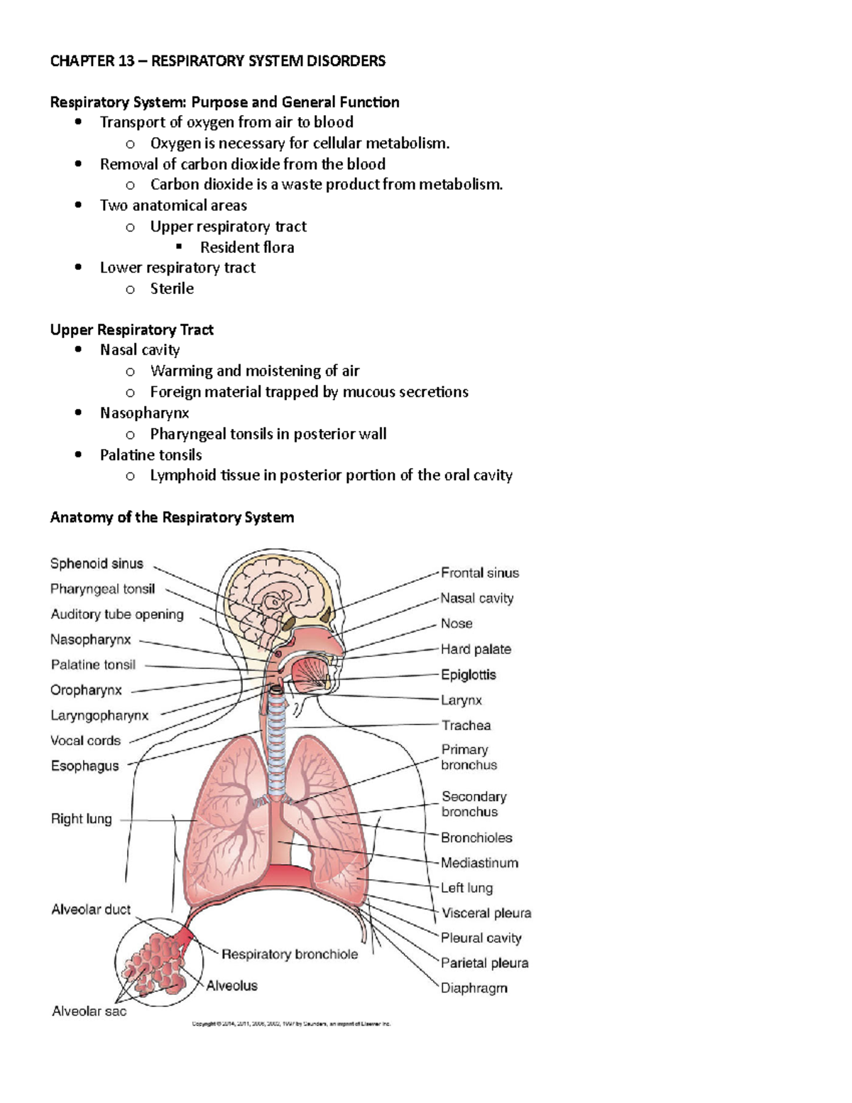 Respiratory System Disorders - CHAPTER 13 – RESPIRATORY SYSTEM