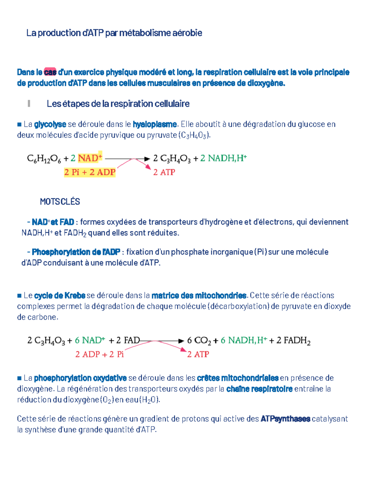 La-production-d-atp-par-metabolisme-aerobie - copie - La production d ...