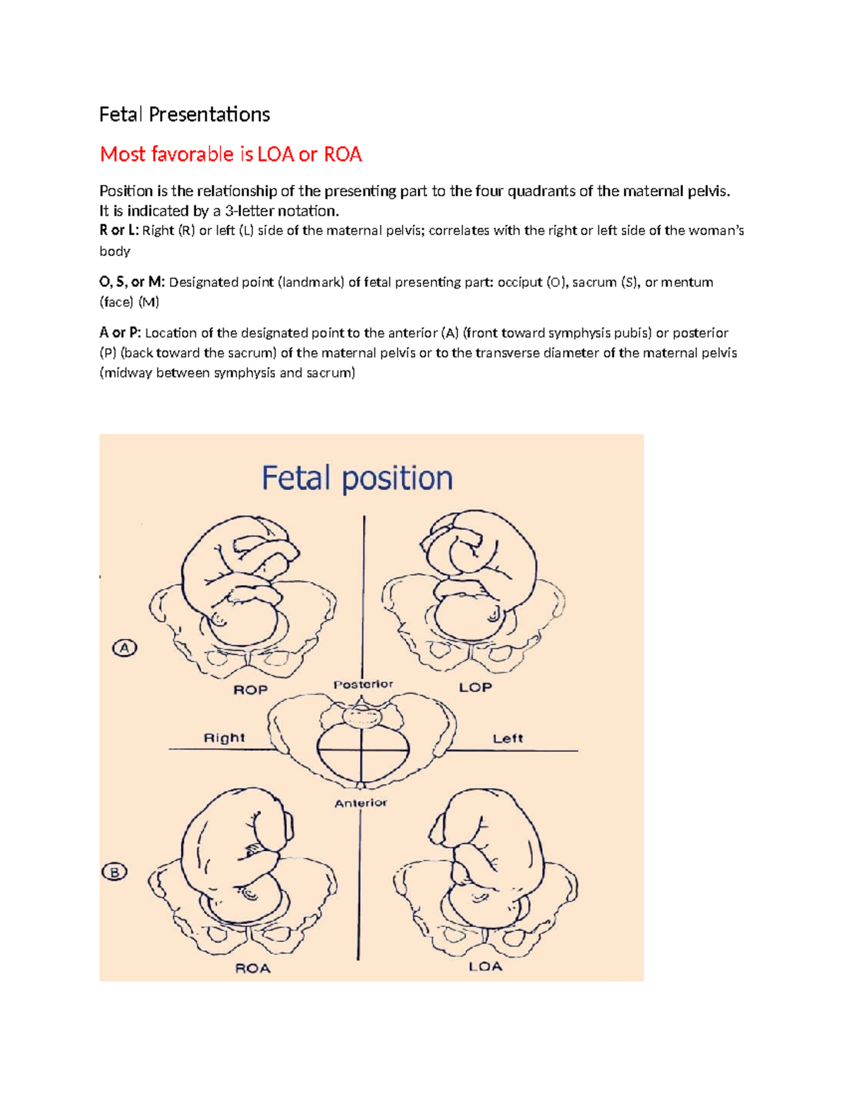 Fetal Presentations - Summary OB/Peds - Fetal Presentations Most ...