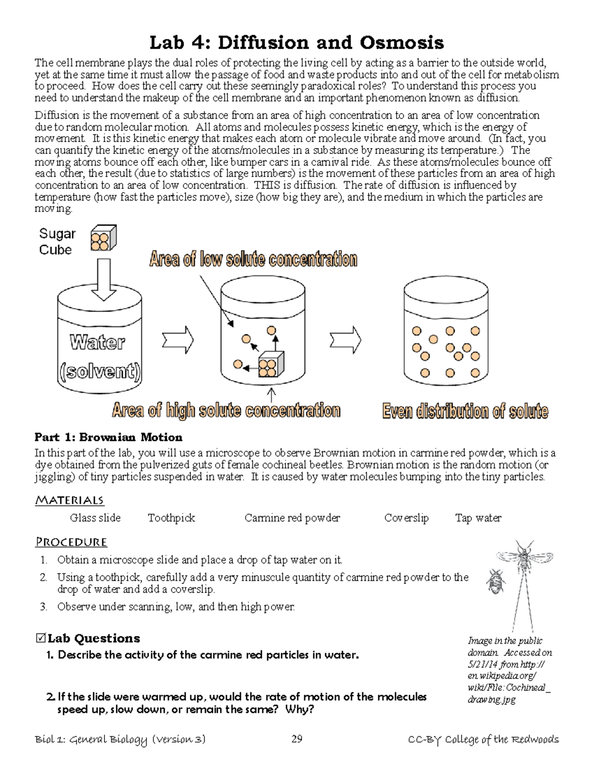 Lab 4 Diffusion and Osmosis Lab 4 Diffusion and Osmosis The cell
