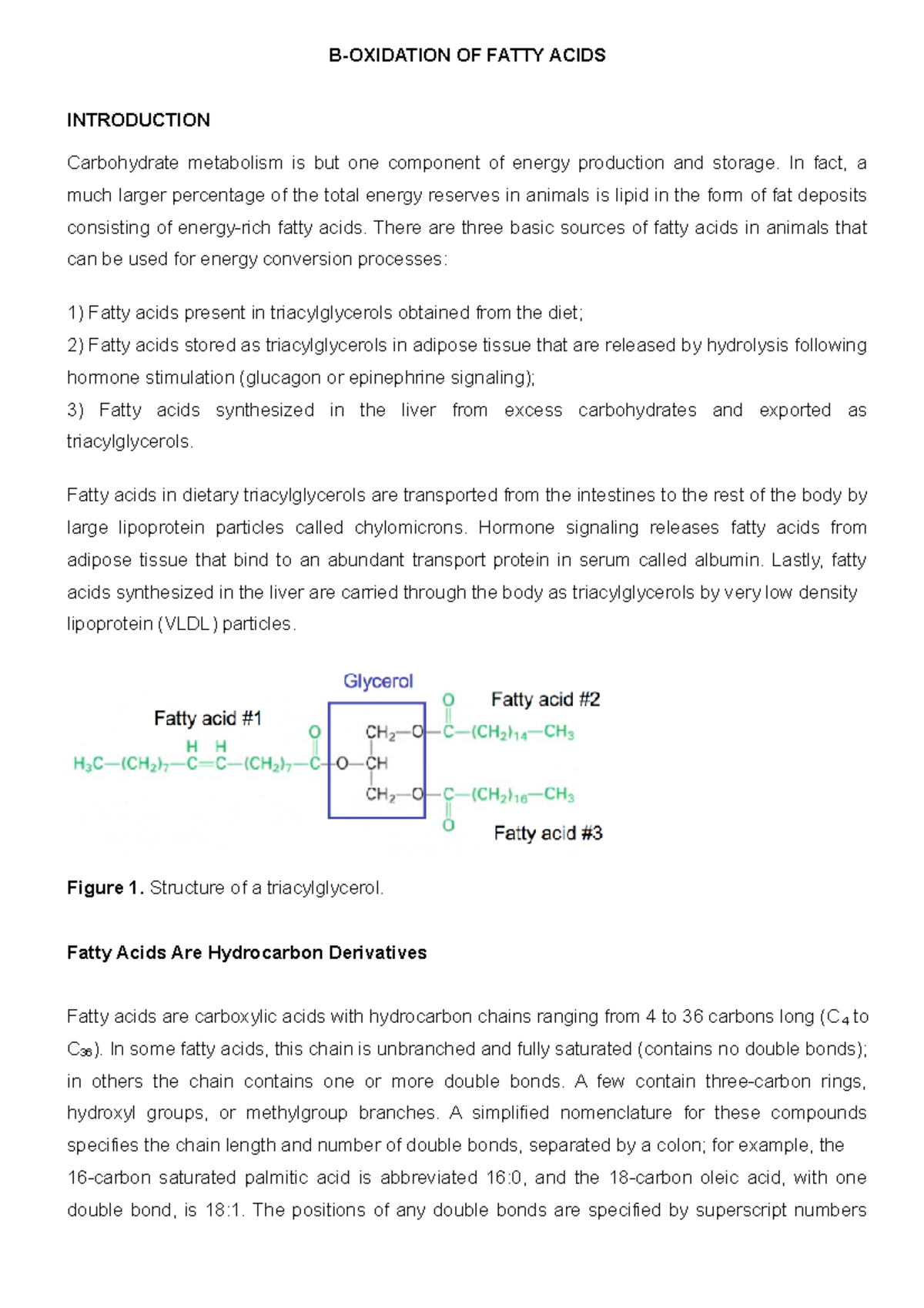 Beta Oxidation Of Fatty Acid Studocu