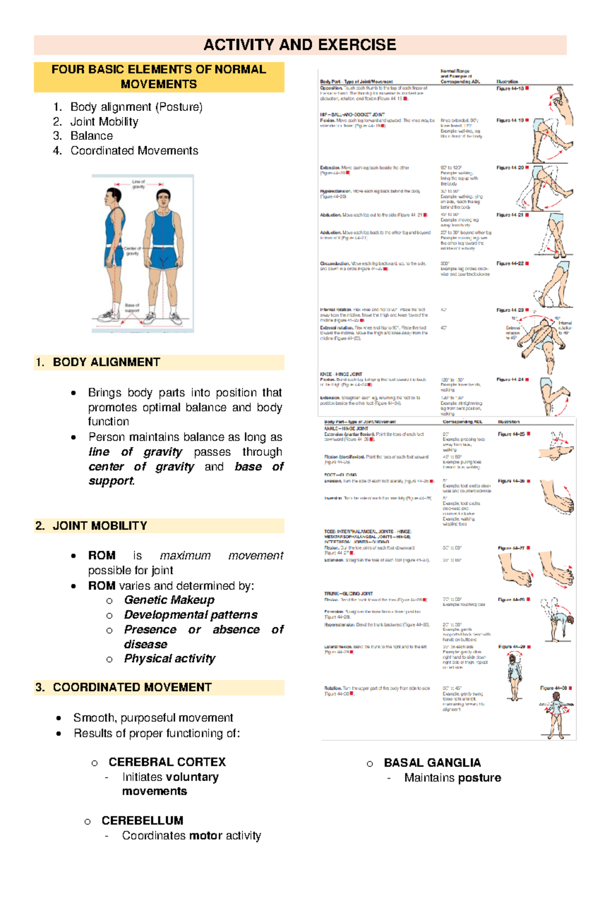 mod-9-1-activity-exercise-activity-and-exercise-four-basic