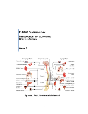 Sympathomimetics - Pharmacology PLD302 - Sympathomimetics By the end of ...