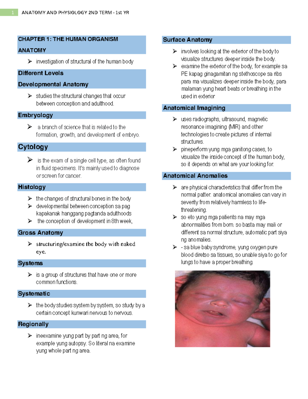 Anaphy Notes - CHAPTER 1: THE HUMAN ORGANISM ANATOMY Investigation Of ...