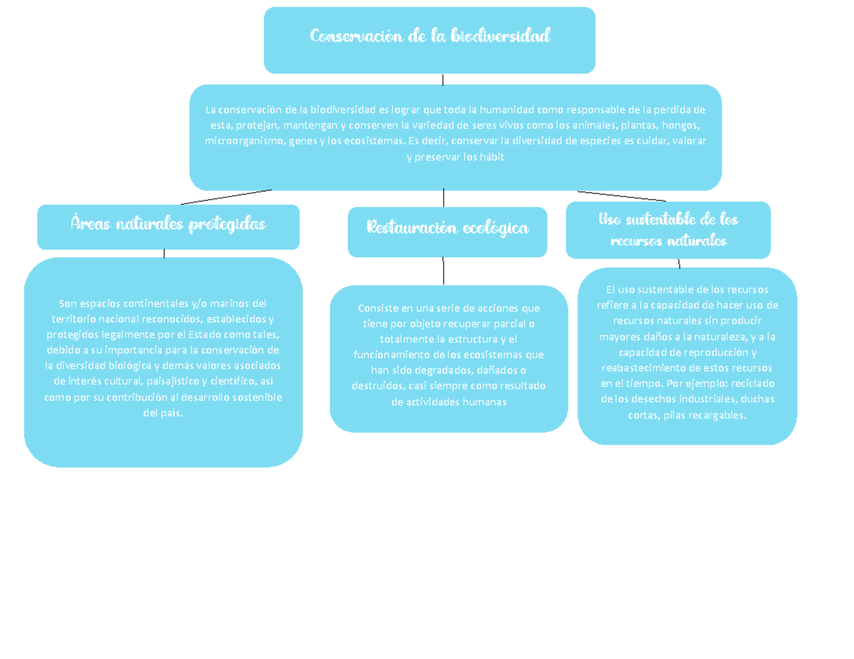 mapa mental de la biodiversidad - La conservación de la biodiversidad es  lograr que toda la - Studocu