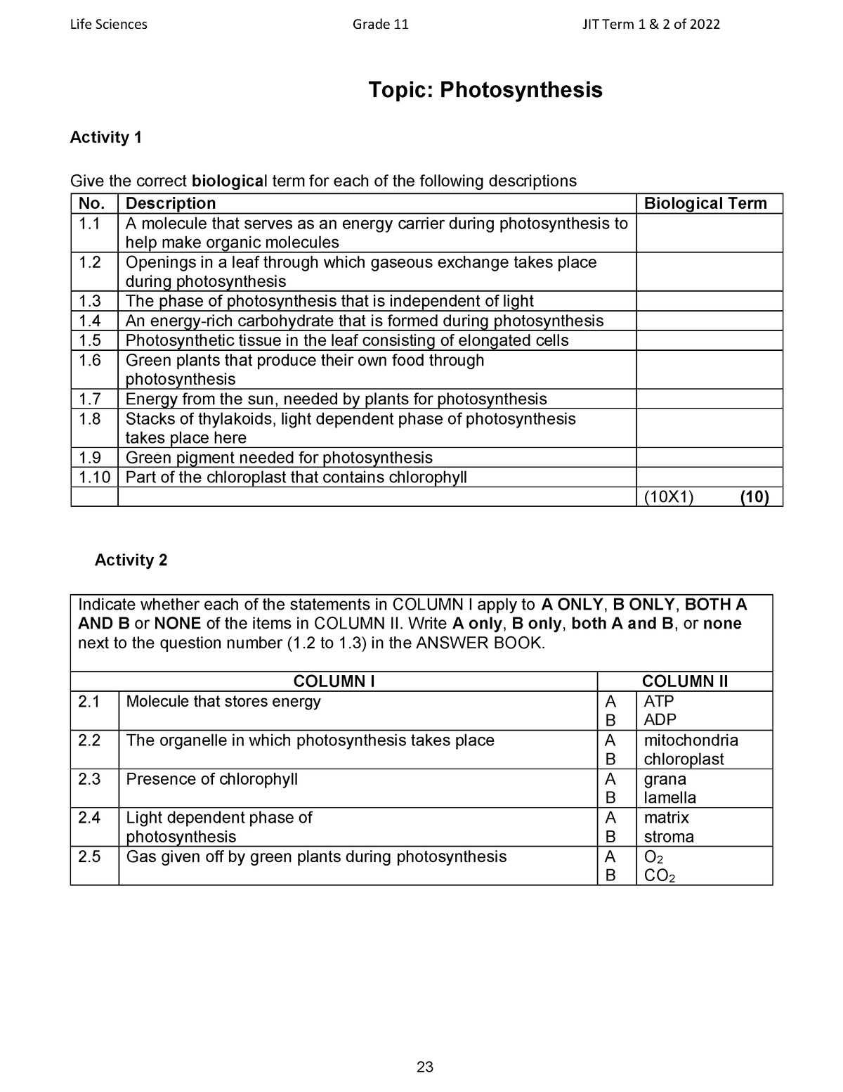 grade 11 life science assignment term 2 photosynthesis 2022