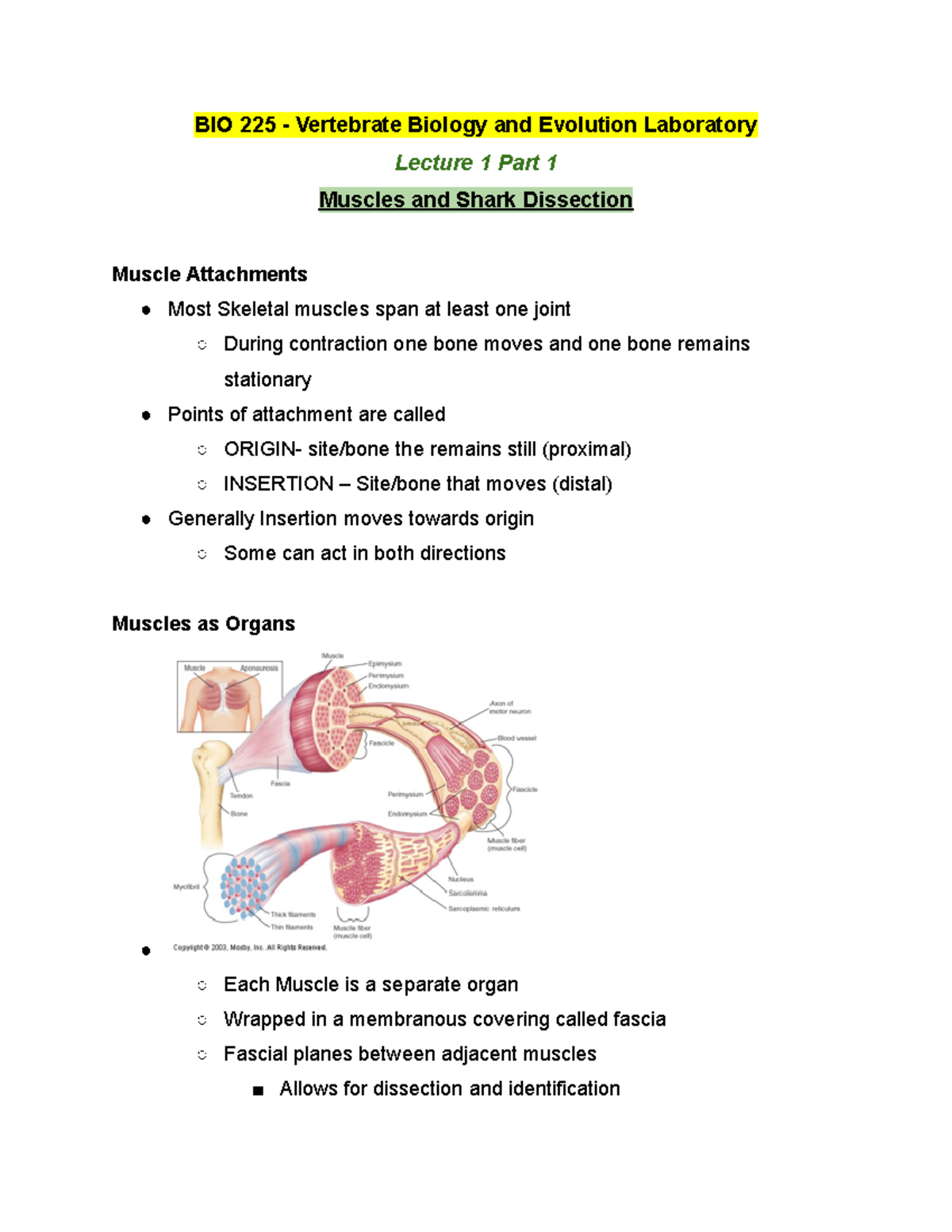 BIO 225 Lecture 1 Part 1 - Winter 2019 - BIO 225 - Vertebrate Biology ...