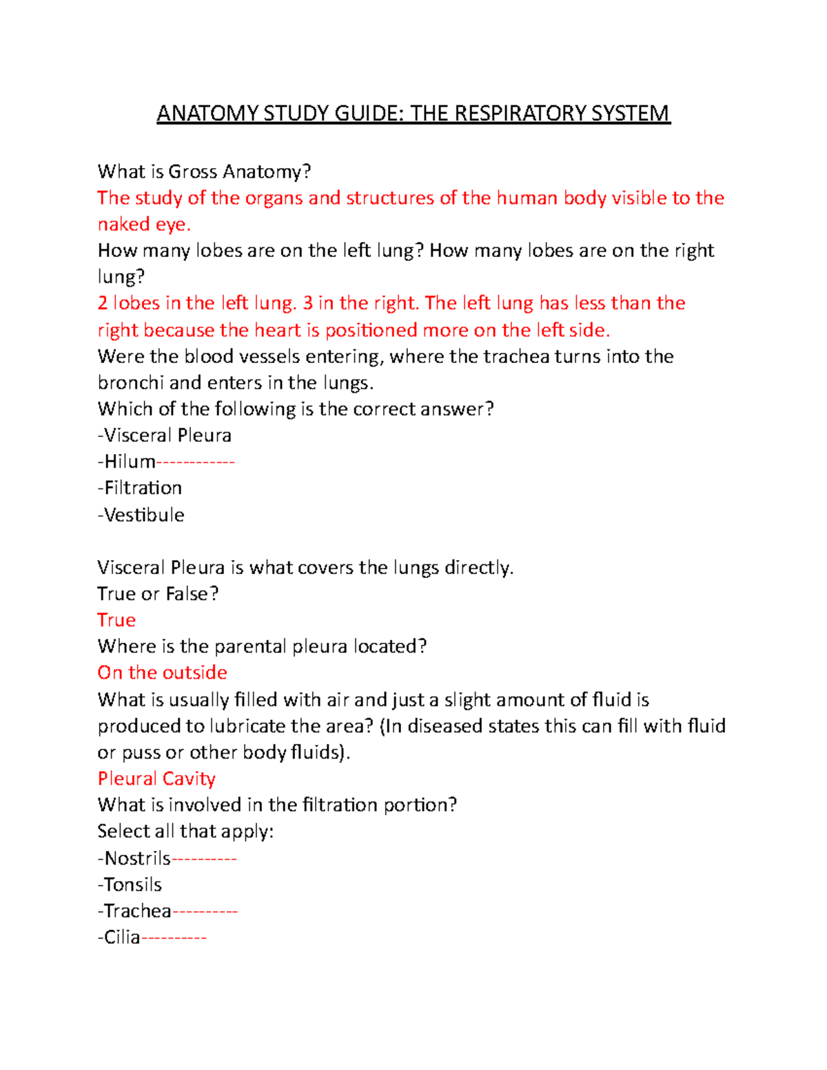 Anatomy Study Guide KEY ANATOMY STUDY GUIDE THE RESPIRATORY SYSTEM