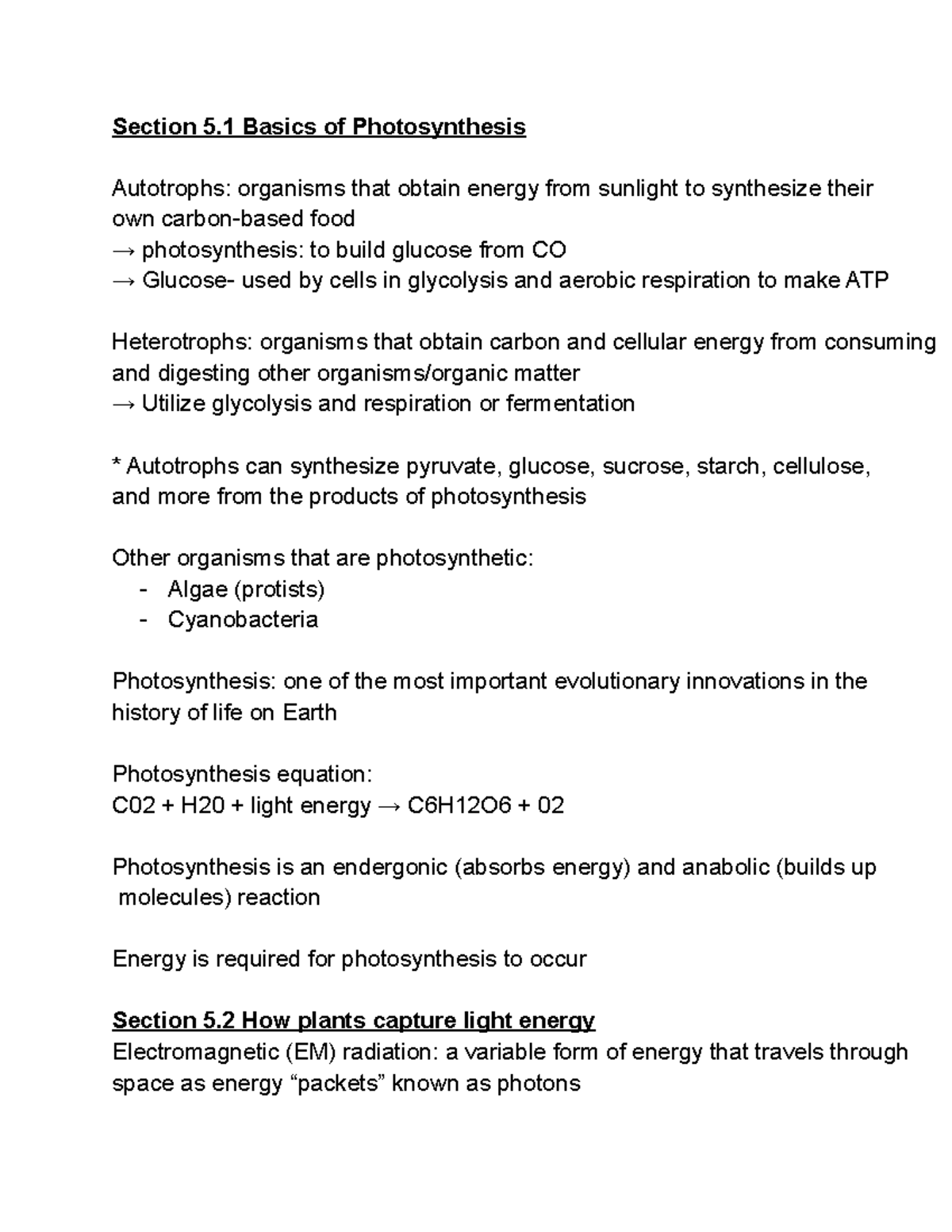 Chapter 5 Photosynthesis - Section 5 Basics of Photosynthesis ...