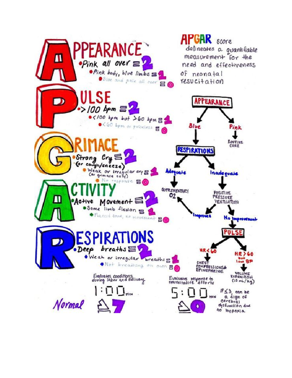 Apgar Scoring - Nurs 306L - Studocu