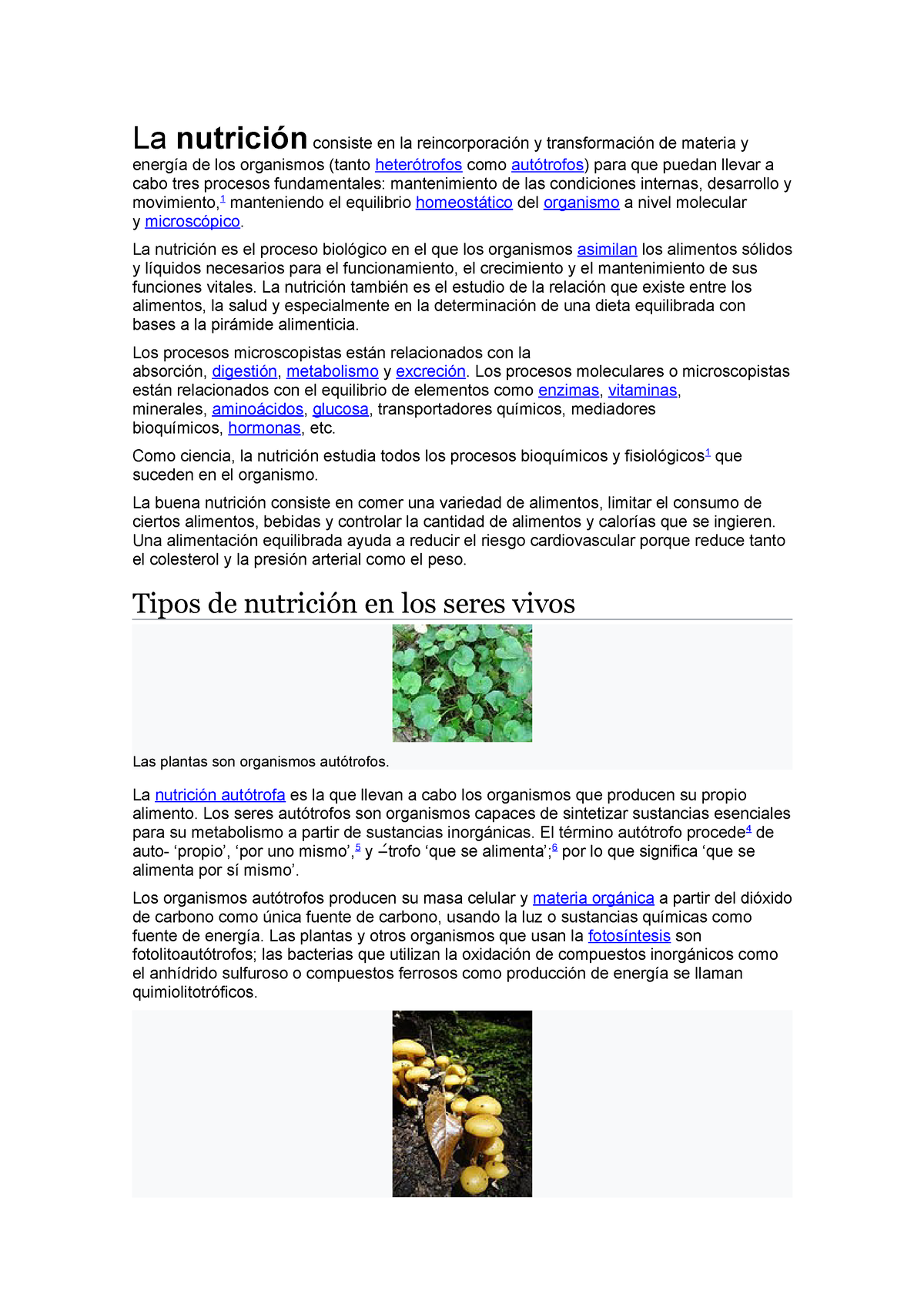 La Nutricion La Nutrición Consiste En La Reincorporación Y Transformación De Materia Y Energía 1591