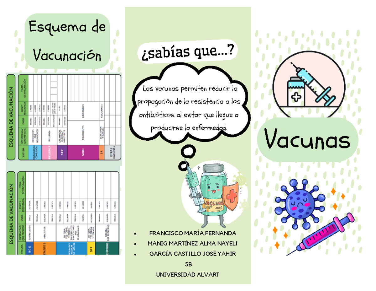 Tríptico Vacunas - Vacunas Esquema de Vacunación ¿sabías que...? Las